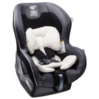 Scaun auto cu isofix SF01 0-18 kg Kiwy