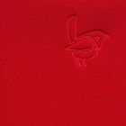 Insert scaun auto Avova Maple Red