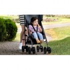 Carucior Graco EZLite Mint