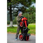 Kart electric pentru copii Rollplay XL, 12V