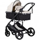 Carucior Chipolino Amore 2 in 1 biscotta