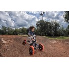 Kart BERG Buzzy Nitro