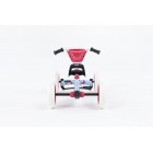 Kart BERG Buzzy Bloom