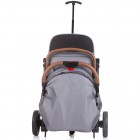 Carucior sport Chipolino Fantasy cu husa picioare cloud