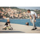 Bicicleta/tricicleta fara pedale, Free2Move, Din lemn, 2 in 1, Functie de bicicleta echilibru, Scaun reglabil, Roti ajustabile, Manere antiderapante, Varsta 1-3 ani, Conform cu standardele europene EN71-1:2018, EN71-2:2020, EN71-3:2021, Mint