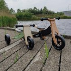 Bicicleta/tricicleta fara pedale, Free2Move, Din lemn, 2 in 1, Functie de bicicleta echilibru, Scaun reglabil, Roti ajustabile, Manere antiderapante, Varsta 1-3 ani, Conform cu standardele europene EN71-1:2018, EN71-2:2020, EN71-3:2021, Mint