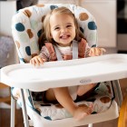 Graco - Scaun de masa SnackEase Organza