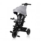Tricicleta copii, Lionelo, Berry, 2 in 1, Multifunctionala, Suport picioare, Control al directiei, Scaun reversibil, Rotire 360 grade, Functie de roata libera, Utilizare pana la 5 ani, Constructie din otel, Conform cu standardul EN71, Gri