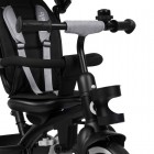 Tricicleta copii, Lionelo, Berry, 2 in 1, Multifunctionala, Suport picioare, Control al directiei, Scaun reversibil, Rotire 360 grade, Functie de roata libera, Utilizare pana la 5 ani, Constructie din otel, Conform cu standardul EN71, Gri