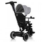 Tricicleta copii, Lionelo, Berry, 2 in 1, Multifunctionala, Suport picioare, Control al directiei, Scaun reversibil, Rotire 360 grade, Functie de roata libera, Utilizare pana la 5 ani, Constructie din otel, Conform cu standardul EN71, Gri