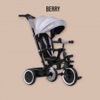 Tricicleta copii, Lionelo, Berry, 2 in 1, Multifunctionala, Suport picioare, Control al directiei, Scaun reversibil, Rotire 360 grade, Functie de roata libera, Utilizare pana la 5 ani, Constructie din otel, Conform cu standardul EN71, Gri