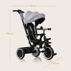 Tricicleta copii, Lionelo, Berry, 2 in 1, Multifunctionala, Suport picioare, Control al directiei, Scaun reversibil, Rotire 360 grade, Functie de roata libera, Utilizare pana la 5 ani, Constructie din otel, Conform cu standardul EN71, Gri