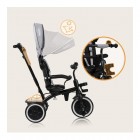 Tricicleta copii, Lionelo, Berry, 2 in 1, Multifunctionala, Suport picioare, Control al directiei, Scaun reversibil, Rotire 360 grade, Functie de roata libera, Utilizare pana la 5 ani, Constructie din otel, Conform cu standardul EN71, Gri