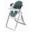 Scaun de masa si balansoar, FreeON, Oli Deluxe, 2 in 1, Transformabil, Multifunctional, Cu melodii de leagan, 0 luni+, Pistachio