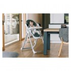 Scaun de masa si balansoar, FreeON, Oli Deluxe, 2 in 1, Transformabil, Multifunctional, Cu melodii de leagan, 0 luni+, Pistachio