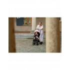 Carucior sport, FreeON, Tao, Pana la 22 Kg, 6.9 Kg, Cu maner pentru transport, Conform cu standardul european EN, Green